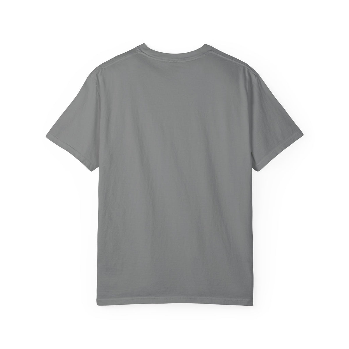 America We Have a Problem T-Shirt - Reminiscent Wear Graphic Tee