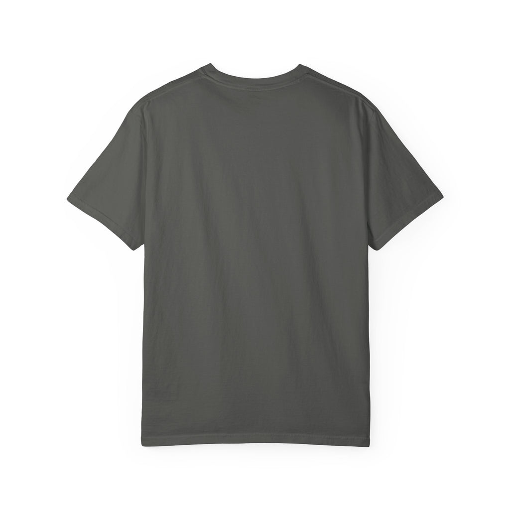 America We Have a Problem T-Shirt - Reminiscent Wear Graphic Tee